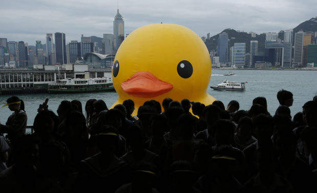 Photos: Duck, duck...boat?
